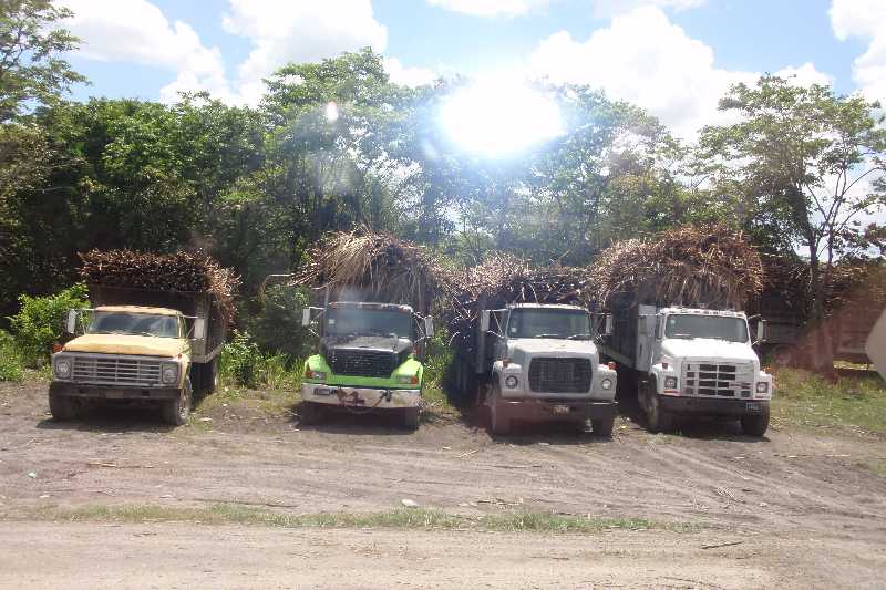 Mexico & Guatemala 2010 - 1192